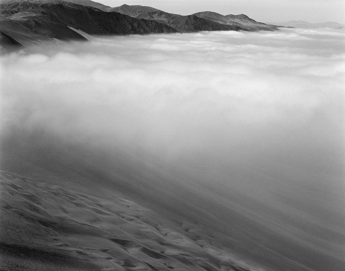 Туманный оазис, Альто Патаче, пустыня Атакама, Чили, 2013 г.
